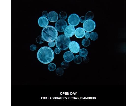 OPEN DAY